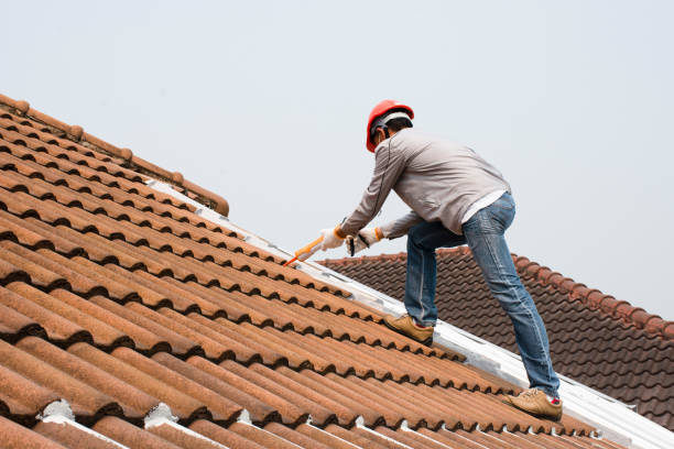 Best Green or Eco-Friendly Roofing Solutions  in Douglas, AL