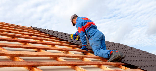 Best Asphalt Shingle Roofing  in Douglas, AL