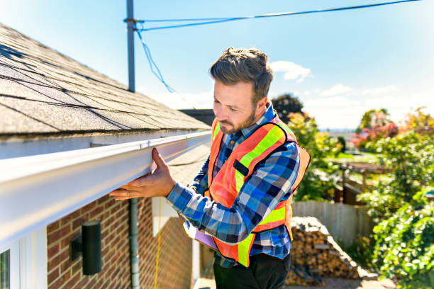Best Skylight Installation and Repair  in Douglas, AL