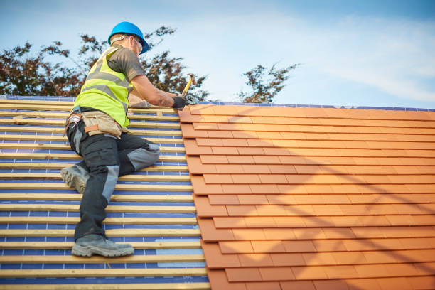 Best Roof Maintenance and Cleaning  in Douglas, AL